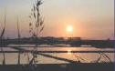 Tramonto nelle saline